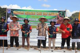 Pemkot Payakumbuh siapkan 35 ribu bibit cabai siap tanam untuk dibagikan ke KWT