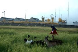 PT PGN Tbk terapkan ESG untuk bisnis berkelanjutan