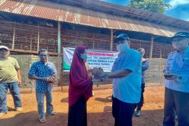 Antam bantu bibit ayam petelur untuk peternak Tambea