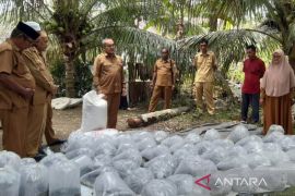 DKP Nagan Raya budidaya ikan tawar melalui program mina padi