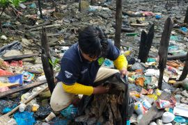 DLH Tanjungpinang sebut bisnis sampah semakin menarik minat warga