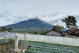 Gunung Kerinci erupsi, masyarakat Kayu Aro diwajibkan pakai masker