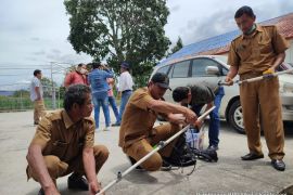 Mahasiswa Polbangtan Kementan dampingi penyuluh Toba praktik smart farming
