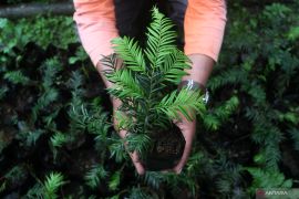 Penyuluhan pertanian cerdas untuk tingkatkan kesejahteraan petani