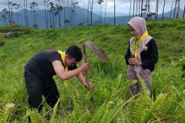 Kawasan Pegunungan Serayu Utara ditanami seribu pohon