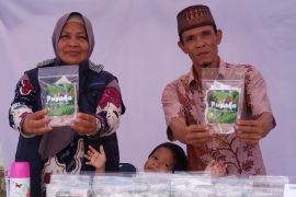 Teh sappang produk inovasi Desa Pusaka yang terinspirasi dari Gubernur Kalbar