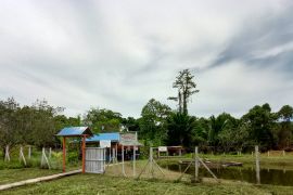 PT Kilang Pertamina lindungi rusa sebagai tanggung jawab lingkungan