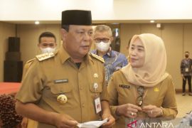 Gubernur Kalsel: enam strategi menuju zona putih PMK