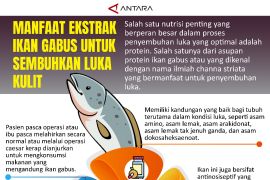 Manfaat ekstrak ikan gabus untuk sembuhkan luka kulit