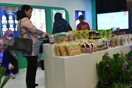 Pemprov gelar Pekan Raya Sulsel mempromosikan produk UMKM