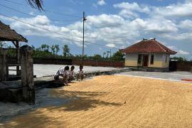 Pj Gubernur NTB minta Bulog optimalkan serap gabah dan jagung petani