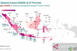 Kemenkes sebut kasus gangguan ginjal akut di Indonesia 304 terbanyak DKI Jakarta