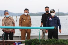 Kabupaten Lingga dan Karimun potensial produksi 32.000 ton rumput laut