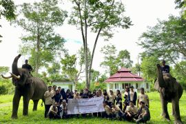 UKM Pers USK perkenalkan gajah sumatera lewat pelatihan jurnalistik
