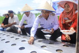 Pj Wako Payakumbuh terus dorong masyarakat untuk memanfaatkan lahan tidur