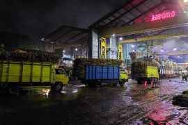 Produksi gula PG Semboro hingga akhir giling capai 51.953 ton