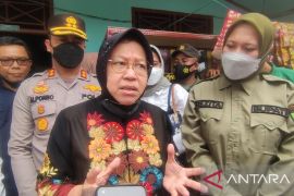 Menteri Sosial ke Inhu datangi bocah korban pelecehan ayahnya