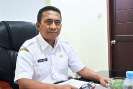 Maluku mulai kembangkan kedelai seluas 4.750 hektare perkuat ketahanan pangan