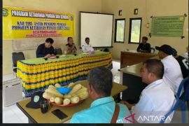 Tanah Laut miliki potensi kawasan hortikultura 320 hektare