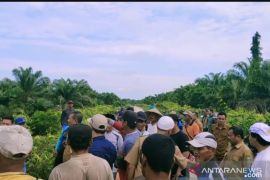 Aneh, 5.532 ha lahan PT DSI yang di-TORA-kan Pemkab Siak belum diketahui lokasinya