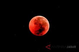 Kemenag ajak umat Islam shalat khusuf saat gerhana bulan pada 8 November