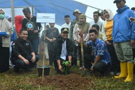 Pemprov Sulsel bantu bibit guna mendorong produksi kopi Gowa