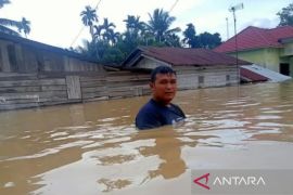 Sebanyak 23.380 warga Aceh Tamiang mengungsi akibat banjir
