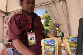 Petani sambut rencana Gubernur Koster soal bantuan alat penggiling padi