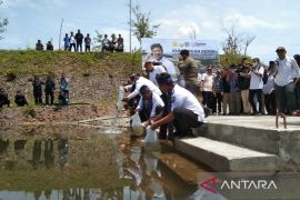 Mentan lepas benih ikan 10.000 ekor di Bendungan Ladongi Sulawesi Tenggara