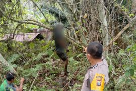 Seorang gadis di Halut ditemukan tewas gantung diri