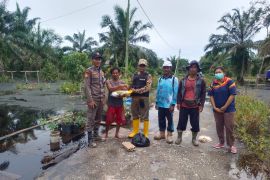 Dua desa di Siak Kecil Bengkalis dilanda banjir