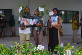 Bibit pohon jadi tiket konser Budi Doremi di "Festival Medhayoh"