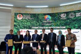 PLN Paparkan Strategi Pembiayaan Wujudkan Transisi Energi di Indonesia di KTT COP27