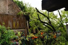 Bencana Angin Kencang Di Madiun