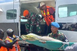 Kapolda Papua: Pekerja bangunan diserang di Beoga, satu tewas