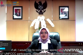 Usung "Forest City" IKN Nusantara siap hadapi tantangan perubahan iklim