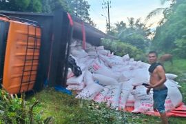 Truk bermuatan pupuk subsidi terguling di Aceh Tamiang