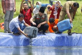 Mas Ipin dukung swasta budidaya ikan air tawar di Trenggalek
