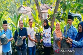 Kelompok tani di Madina dapat bantuan bibit kakao dan kelapa dari Kementerian Pertanian