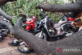 Jakarta kemarin, pejabat baru hingga pohon tumbang di Balai Kota