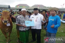 Pemkab Pamekasan dorong pemulihan ekonomi peternak melalui kontes sapi-kambing