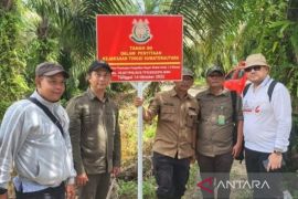 Kejati Sumut sita lahan terkait dugaan korupsi hutan margasatwa