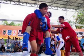 Sambo penyumbang medali terbanyak untuk Tapin di Porprov Kalsel