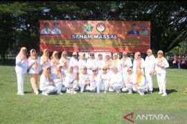 Ribuan peserta ramaikan senam massal HUT DWP Sultra