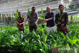 BPDAS-Kapuas dorong 52 KBR pulihkan fungsi hutan dan lahan berbasis swakelola