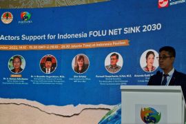 Butuh investasi tidak kurang dari 14 miliar Dolar AS untuk capai FOLU Net Sink, peran swasta ditunggu