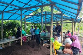 Kelompok Tani di Payakumbuh produksi pupuk organik untuk menekan biaya produksi pertanian