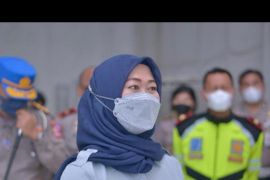 Program pemutihan pajak, solusi murah pembayaran tunggakan pajak kendaraan