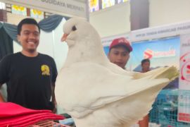 Sebanyak 35 stan wirausaha pramuka produktif dipamerkan di Surabaya