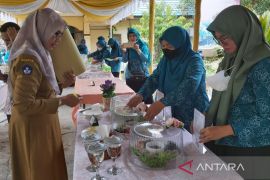 HSU lombakreasikan ubi alabio jadi pangan bergizi dan beragam